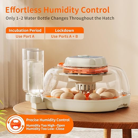 Chicken & Quail Egg Incubator, 2 Egg Trays, Automatic Egg Turning with Auto Stop, Humidity Control, Adjustable Incubation Day & Period, Auto Water Refill, Egg Candler, Clear View, APDOE HatchElite 12