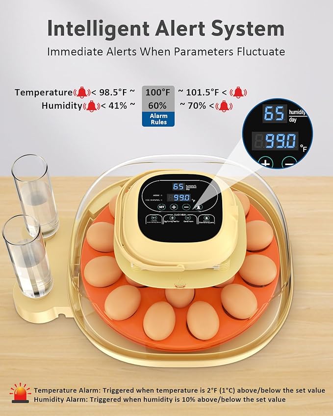 18-33 Egg Incubator for Hatching Eggs, Automatic Egg Turning, Egg Candler, Temperature/Humidity Control, Incubator for Hatching Chicken, Quail, Duck Eggs, 360° Clear View for Home, Classroom, Farm
