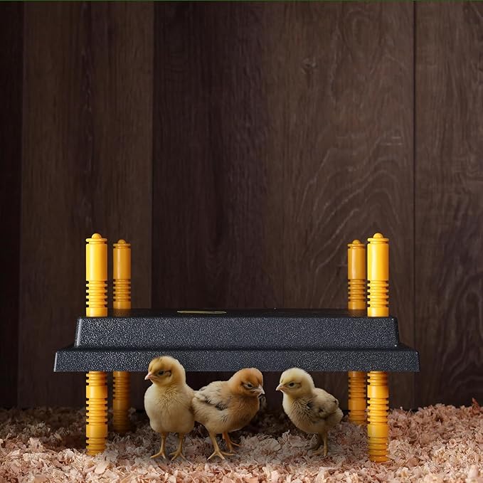 Premier 1 Chick Brooder Heating Plate with Adjustable Legs | 12" x 12" | Warms Up to 20 Chicks