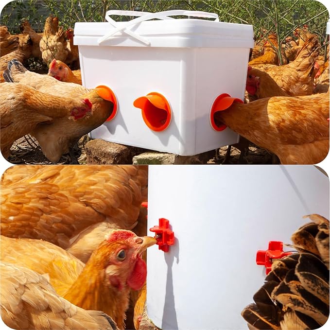 TAOGU Chicken Feeder No Waste Automatic Poultry Feeder Ports Chicken Feeders and Waterer Set Chicken Feeders Kit