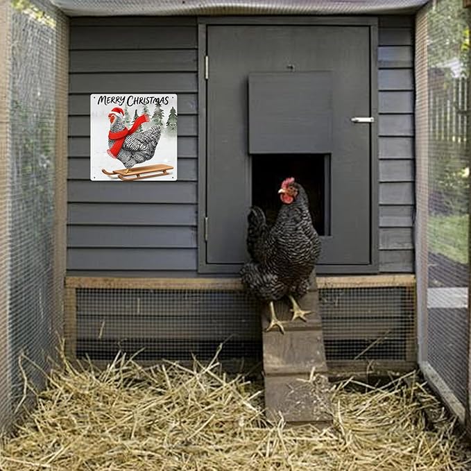 Funny Chicken Kitchen Decor Farmhouse Christmas Wall Decor Country Kitchen Decoration Gifts For Chicken Lover 8×8 Tin Sign