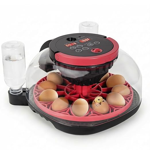 LARKBIRD Incubators for Hatching Eggs - 12 Egg Incubator with Automatic Egg Turning and Humidity Control, 1080P HD Camera & APP Controlled, for Chickens/Duck/Quail/Pigeon Eggs