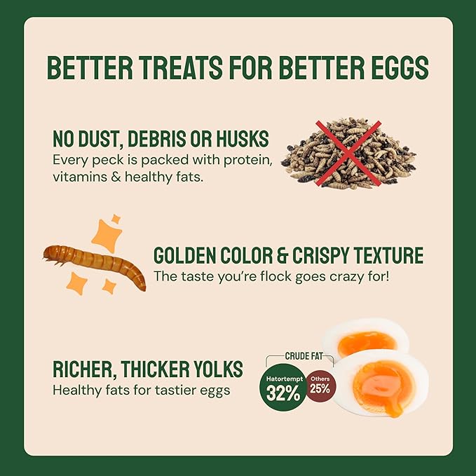 Hatortempt Dried Mealworms - Non-GMO & Organic - High-Protein Mealworms for Wild Bird Food, Ducks & Chickens (5lb)