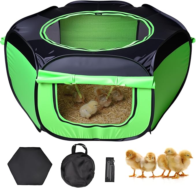 Chicken Brooder Box for Chick Starter Kit Upgrade Three-Sided Mesh Window Brooder Box for Chicks, Pop-Up Brooder Pen, Tent Up to 15 Chick, Duck and Quail (Green)