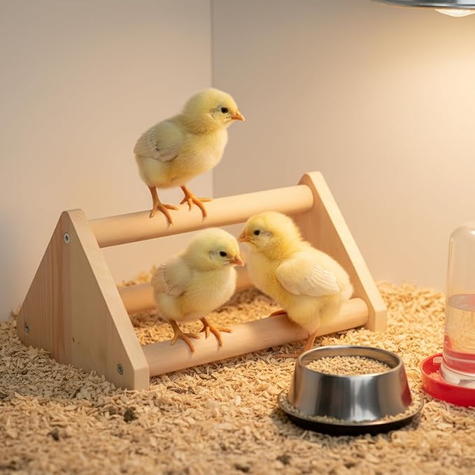 Chick Perch – Sturdy Wooden Roosting Bar for Coop & Brooder, Training Perch for Chicks, Easy to Assemble & Clean, Fun Activity Toy for Poultry (Triangle)