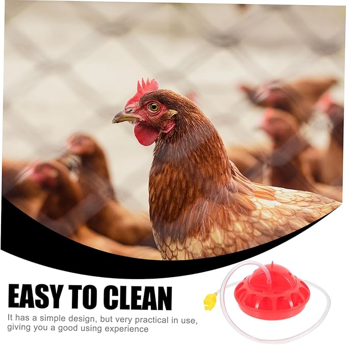 BESPORTBLE 1Set Reusable Chick Feeder Poultry Food Dispenser Easy to Clean Chicken Food Bucket Convenient Hanging Feeder for Brooder Box Chicks Space Saving Design