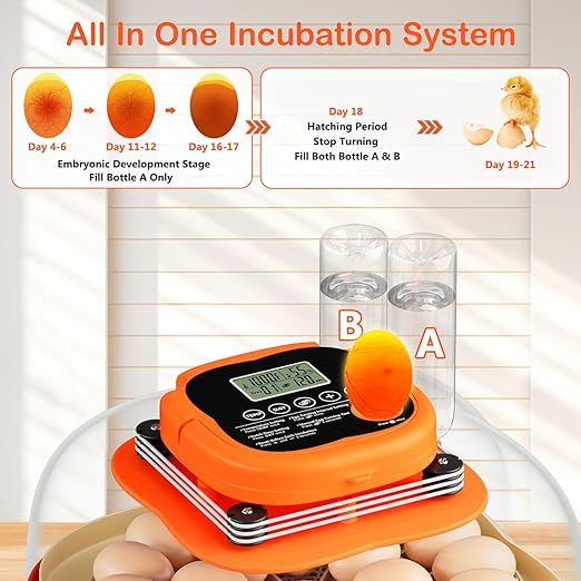 25 Egg Incubators for Hatching Eggs, Egg Incubator with Automatic Egg Turning and Humidity Control, Incubators for Hatching Eggs Chicken Quail Parrot Pigeon