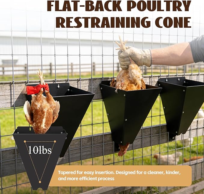 Chicken Cone for Butchering: 10 lbs Metal Poultry Restraining Cone, Flat Back Design, Easy to Clean, Medium Chicken Processing Equipment for Laying Hens, Broilers, and Turkeys