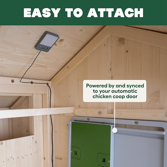 Omlet Coop Light for The Automatic Chicken Coop Door Opener | Encourages Your Flock to Roost | Add Gentle Illumination to Their House | Light Only