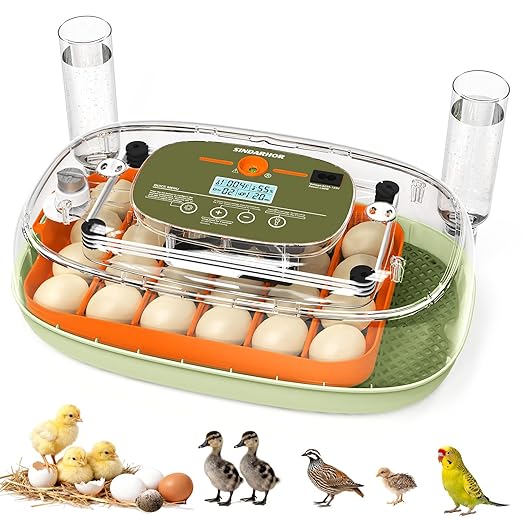 Egg Incubator for 24 Chicken Eggs with Automatic Turner, Digital Temperature Control & Humidity Display, Candler, Poultry Hatcher for Chicken, Duck, Quail, Birds (Green)