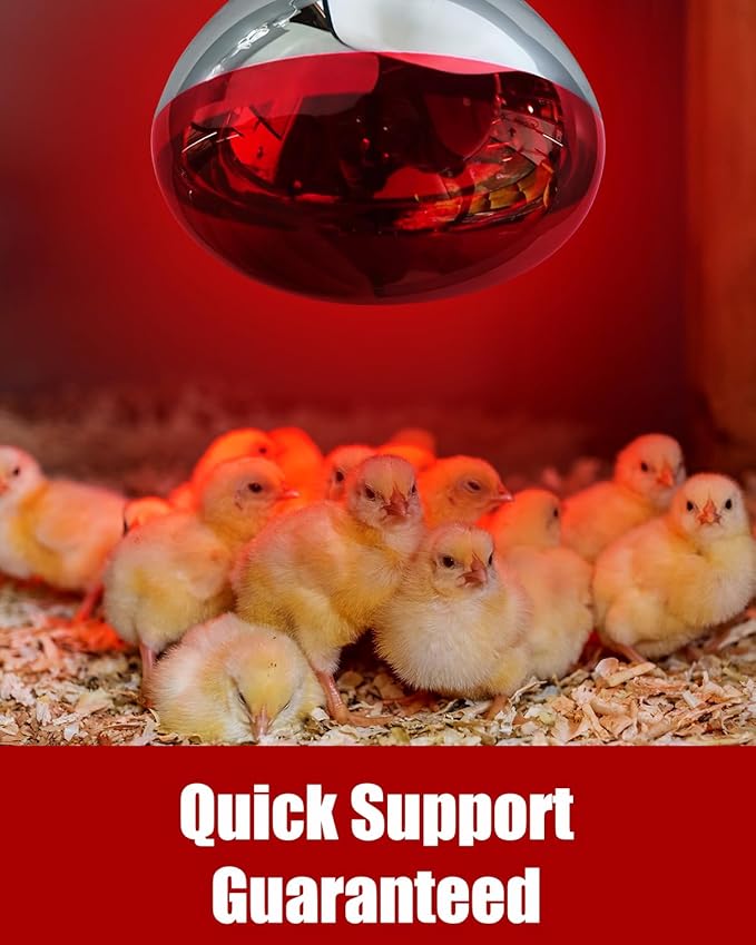 250W R40 Red Heat Lamp Bulbs, 8000 Hours Rated, Infrared Flood Light, Brooder Heating Lamp for Chickens, Reptiles, Pets, Bathroom, E26 Base - 1 Pack