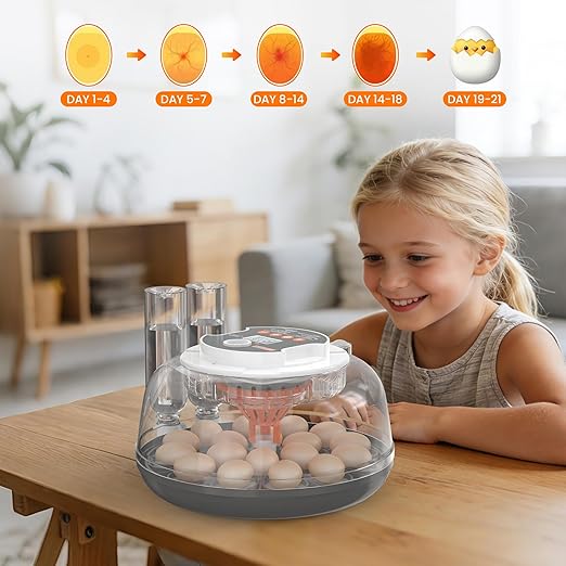 18 Egg Automatic Egg Incubator for Hatching Eggs, Chicken Egg Incubator with Auto Egg Turning, Humidity & Temperature Control, Hatch Day Counter, Egg Candler, 2 Egg Trays & External Water Bottles