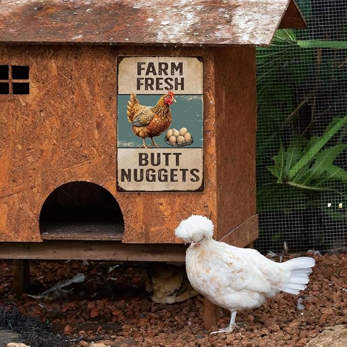 Vintage Metal Signs Chicken Coop Signs for Farmyard Decor, Farm Tin Signs for Home Kitchen Outdoor Decor, Chicken Decor for Country Cottage, Fresh Butt Nuggets 8×12, Chicken Egg Sale Outdoor Décor