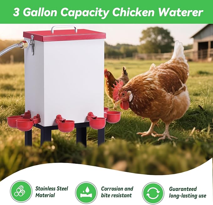 3 Gallon Chicken Waterer,Stainless Steels Automatic Chicken Waterer Feeder with Float Valve,Water Cups, Bottom Bracket and Hose (One End 3/4") Poultry Waterer Dispenser for Quail Duck Goose Turkeys