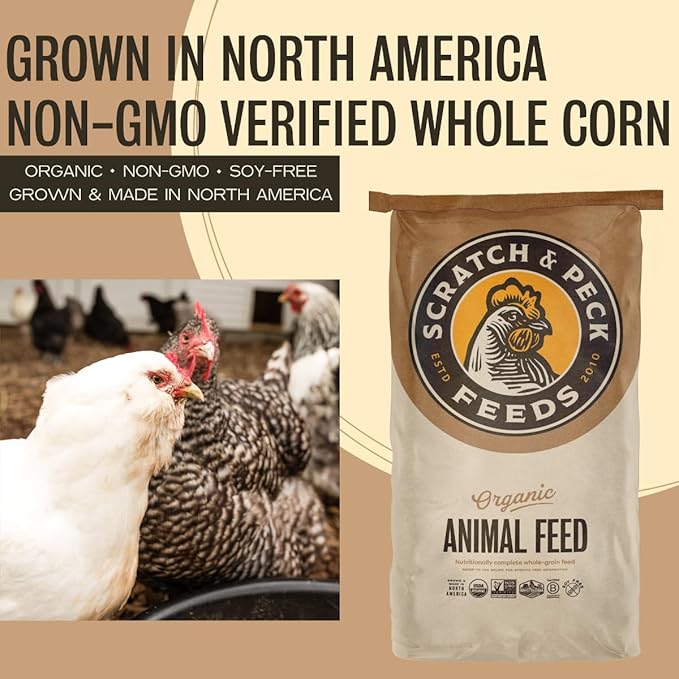 Scratch and Peck Feeds Whole Corn Chicken, Duck and Livestock Supplemental Grain - 7.5% Protein, Certified Organic and Non-GMO Project Verified Chicken Food - 40 lbs Bag