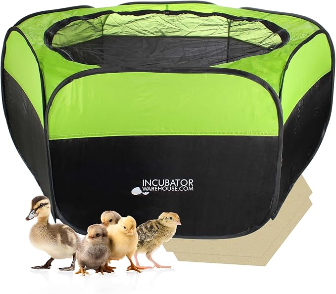 Incubator Warehouse Insta Brooder™ Enclosed Brooder Pen for Hatchlings