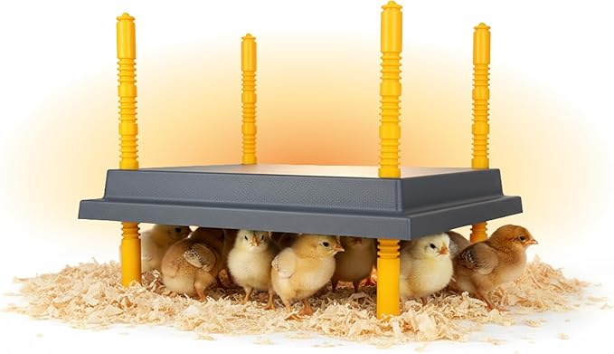Hatching Time Warmzy 14"x14" Chick Heating Plate – Safe 30W Chicken Coop Heater for 25–30 Chicks with Adjustable Legs | Gentle Low-Heat Brooder Plate for Chicks, Durable Fire-Resistant Chicken Heater