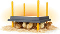 Hatching Time Warmzy 14"x14" Chick Heating Plate – Safe 30W Chicken Coop Heater for 25–30 Chicks with Adjustable Legs | Gentle Low-Heat Brooder Plate for Chicks, Durable Fire-Resistant Chicken Heater