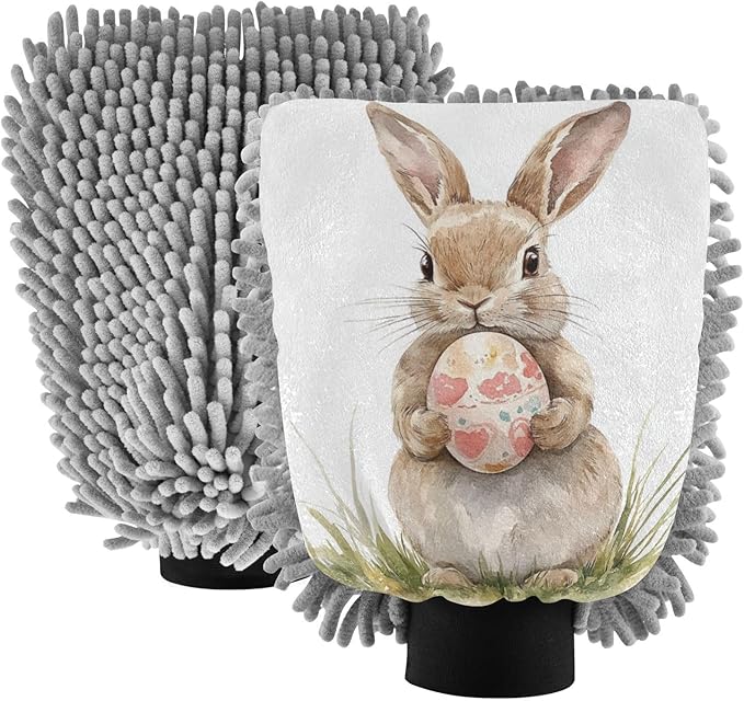 ALAZA Bunny Rabbit Easter Egg Car Wash Mitt Scratch Free, 2 Pack Absorbent Microfiber/Chenille Washing & Drying Mitts, M
