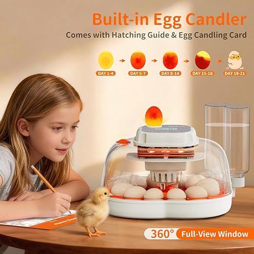 Chicken & Quail Egg Incubator, 2 Egg Trays, Automatic Egg Turning with Auto Stop, Humidity Control, Adjustable Incubation Day & Period, Auto Water Refill, Egg Candler, Clear View, APDOE HatchElite 12