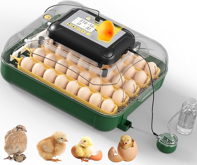 30 Egg Incubator for Hatching Eggs with Auto Egg Turning, High Precision Temperature & Humidity Display, Hatch Day, Egg Candler, Upgraded Motor, Incubator for Hatching Chickens, Higher Hatch Rate