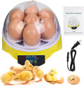 7-Egg Mini Egg Incubator with 360° View, Educational Hatching Kit for Kids, Classrooms & Families, Automatic Temperature Control & Manual Humidity Control, Suitable for Chicken, Duck & Quail Eggs