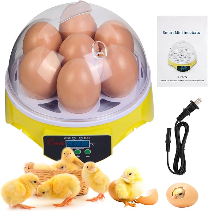7-Egg Mini Egg Incubator with 360° View, Educational Hatching Kit for Kids, Classrooms & Families, Automatic Temperature Control & Manual Humidity Control, Suitable for Chicken, Duck & Quail Eggs