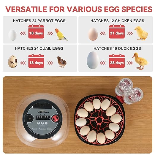 2nd Gen - 12 Egg Automatic Incubator, Two-Stage Humidity with Auto-Refill & Stable Temp Control, Auto Egg Turning, Candler, Real-Time Display for Hatching Chicken, Goose, Duck, Quail, Pigeon