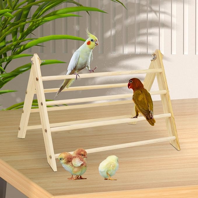 Chick Perch Toy Backyard Chick Perch Roosting Bar Wooden Training Stand Bird Stand Toy Chicken Wood Stand for Hens Large Bird