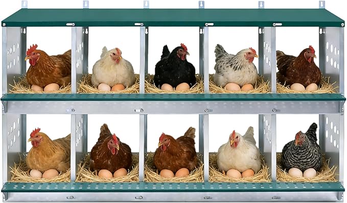 EAGLE PEAK 10-Hole Wall Mounted Chicken Nesting Box, Roll Away Hen Laying Box with Sloped Roof & Easy Clean Tray, Galvanized Steel for Backyard Chicken Coops (Green)