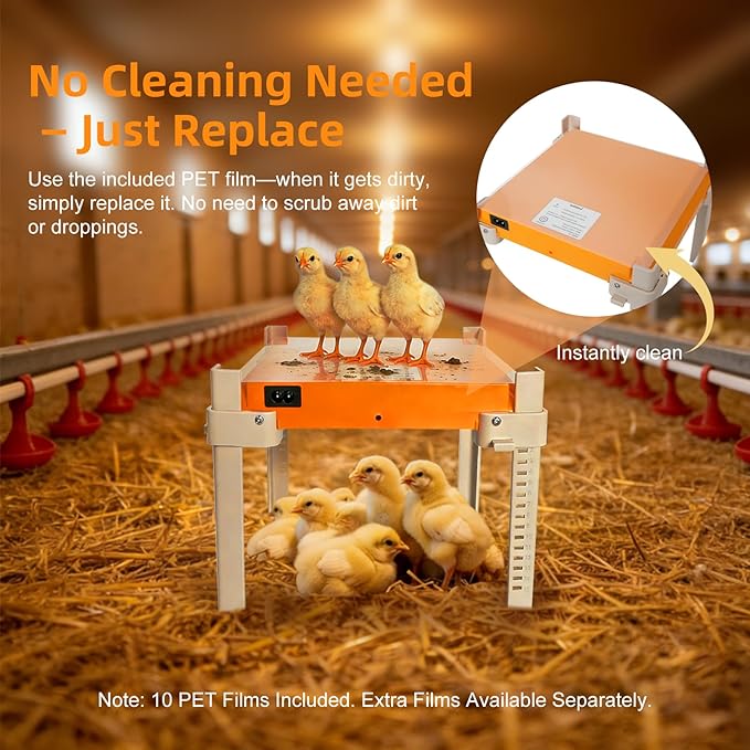 Chicken Coop Heater, Briidea Chick Brooder Heating Plate with 110–130℉ Constant Temperature for Chick Safety, Adjustable Height & Angle, Mother-Hen-Like Comfort, Indoor & Outdoor Use for 15 Chicks