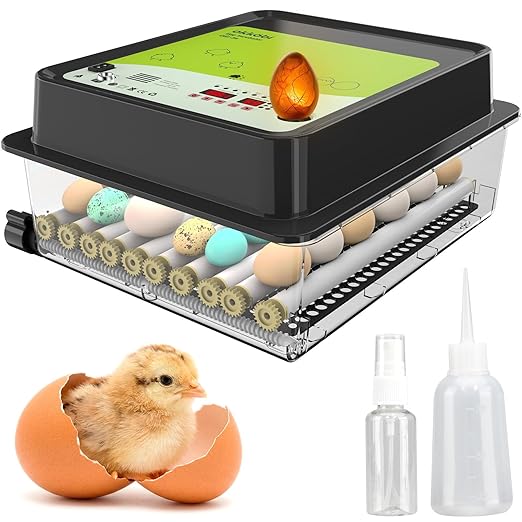 OBI-36 Egg Incubator for Hatching - 36 Eggs - Stable Temperature & Humidity Control with Eggloo Insulation, Candler - Ideal for Families and Farms - Suitable for Chicken, Duck, Quail Eggs