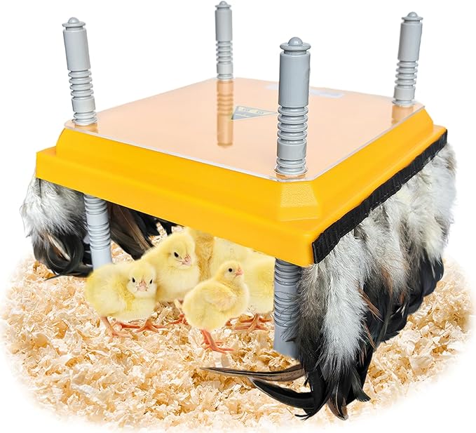 Chick Brooder Heating Plate Brooder Heat Plate for Chicks Ducklings with Feathers 10×10 Inch 15W Adjustable Height & Angle Easy Cleaning Chicks Heater