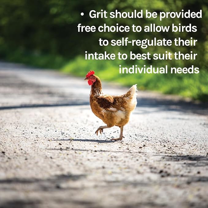 New Country Organics | Flock Perfect Layer/Developer Grit for Chickens and Other Poultry to Help aid in Digestion | 8 lbs