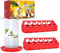 Chick Feeder and Waterer Kit, Chick Feeder Trough and 0.3 Gallon Chick Waterer, No Waste Baby Chick Starter Kit for Chicks, Ducks, and Quail