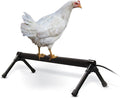 K&H Pet Products Thermo Heated Chicken Perch for Coop, Warming Chicken Heater, Prevents Frozen Toes, Warm Coop Accessories, Lamp Alternative, Safety Listed - Small 26” Black