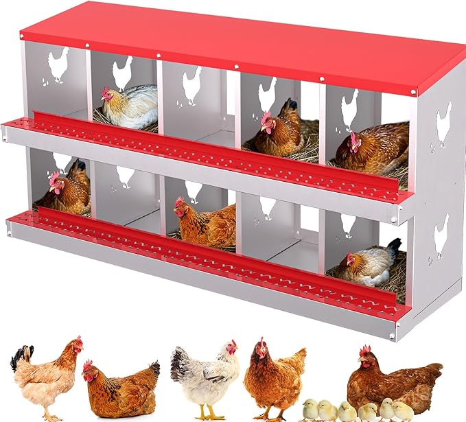 Chicken Nesting Boxes for Hens - 6&8&10 Compartments Roll Away Chicken Laying Boxes with Sturdy Metal Legs & Protective Lid Cover, Durable Galvanized Steel Construction, Easy Clean Design