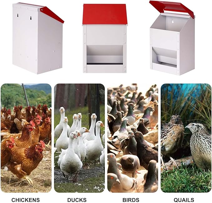 Automatic Metal Chicken Feeder Galvanized Poultry Feeder with Lid Outdoor Wall Mount Chicken Food Dispenser Gravity Fed Chicken Feeder Weatherproof No Waste Quail Duck Feeder (10LBS)