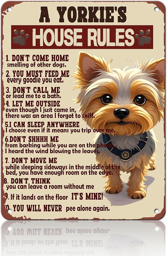 Yorkie Art Wall Decor Yorkie House Rules Metal Tin Sign Vintage 'I Am Your Friend' Tin Poster 12x16 Inch Dog Iron Sign Home Kitchen Bathroom Garden Restaurant Garage Office Man Cave Wall Decor