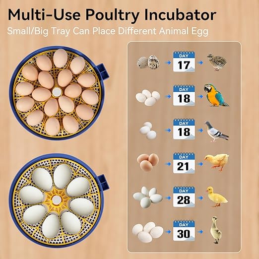 18 Egg Incubators for Hatching Eggs, Chicken Egg Incubator with Automatic Egg Turning and Temperature Humidity Control, 360° Clear View Lid or Home, Farm, Classroom, Hatching Chicken, Duck,Quail,Goose