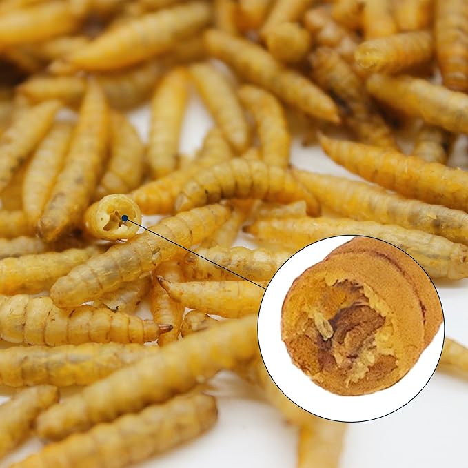 Chicken Feed Dried Black Soldier Fly Larvae, 5LB Natural Poultry Treat, 85X Calcium vs Mealworms for Laying & Molting Hens, Nutrient-Rich Feed for Ducks & Wild Birds, Reptiles