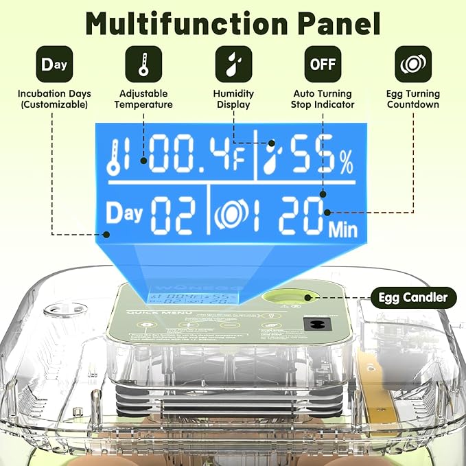 12 Egg Incubator with Automatic Egg Turning and Humidity Control, LED Egg Candling Light, Customized Incubation Days, Incubators for Hatching Eggs, Chicken Quail Parrot Pigeon Birds, Green