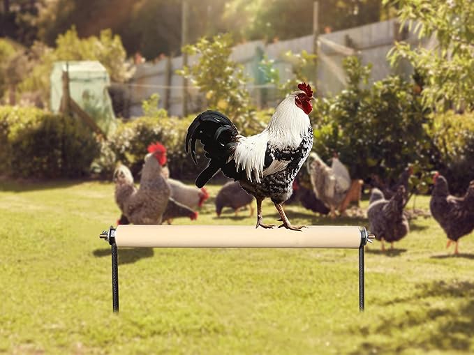 Chicken Perch Toys, Wooden Chick Perch Stand with Metal Ground Plug, Outdoor Birds Training Platform, Chicken Coop Accessories, Suitable for Poultry Rooster Chicks Large Birds Chicks Parrots