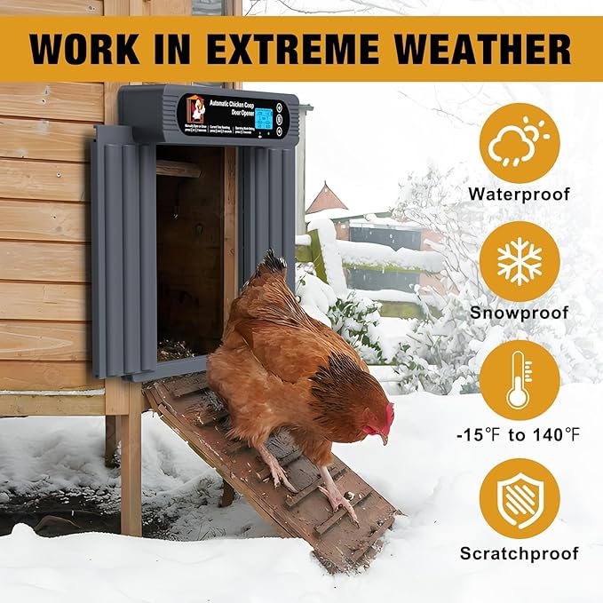 Automatic Chicken Coop Door, Extra Large Size, Anti-Pinch Design,Programmable Timer & Light Sensor Modes, Large LCD Display, Solar Powered Auto Chicken Door Opener with Remote Control (50m)