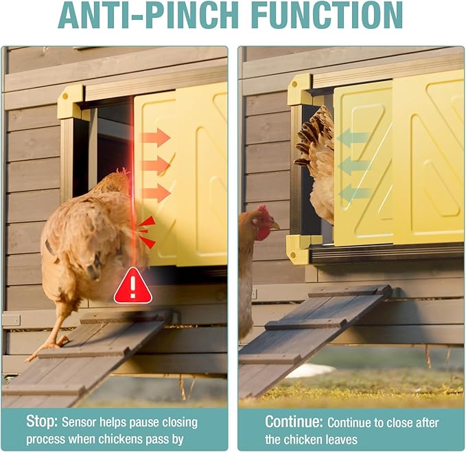 Automatic Chicken Coop Door, Solar Powered Automatic Chicken Door with Timer Mode, Battery Powered LCD Screen, Anti-Pinch Design, Waterproof, Easy Installation (Black)