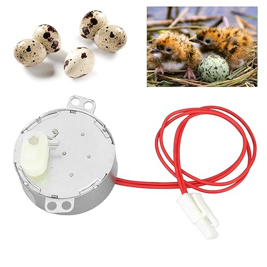FLEXMAN Egg Tray Turning Motor, 4W Egg Turner Rotator Incubator Motor, Portable Professional Electric Synchronous Motor with Connector for Incubator (12V AC)