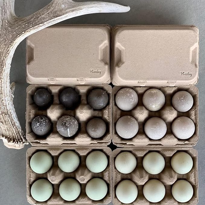 Henlay Half Dozen Duck Egg Cartons – Holds 6 Jumbo Eggs – Blank Top for Custom Labels – Eco-Friendly Paper Pulp – Ideal for Farm Fresh or Backyard Eggs - 20 Pack