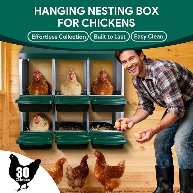 Chicken Nesting Boxes with 6 Cozy and Roll-Away Design - Chicken coop Nesting Boxes,Private Laying Spot & Enables Effortless Egg Collection (Green)