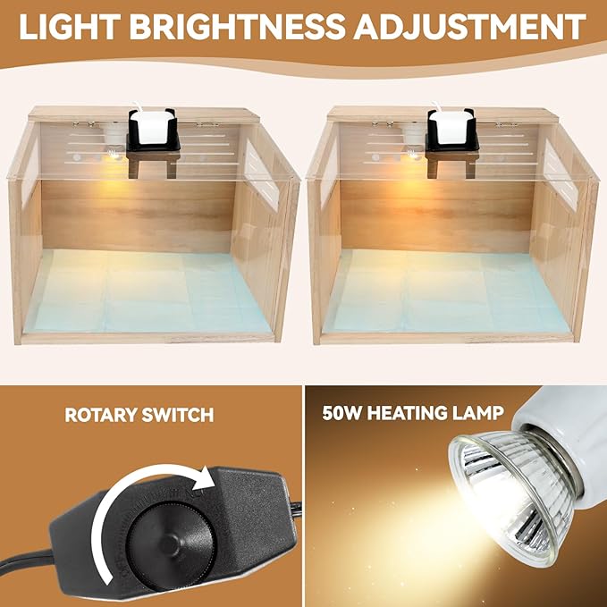 Chicken Brooder Box with Camera : 2.5K HD 5G Chicken Watching Camera, Adjustable Temperature Control Brooder Box for Small Chicks, Ducks, Quails, Idea Gift Christmas (15.7x12x12 Inches) ﻿