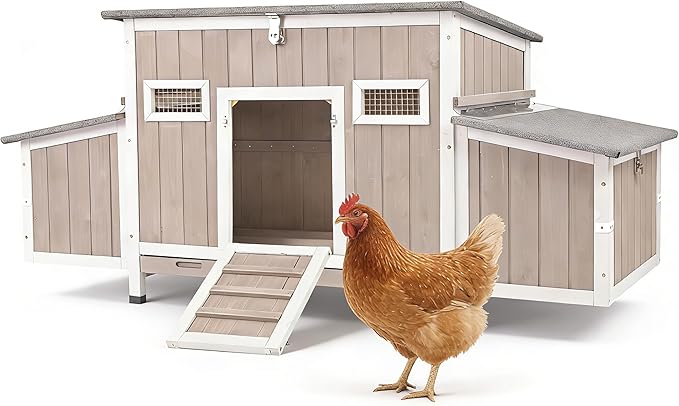 Outdoor Chicken Coop Wooden Hen House Hens Coop for Backyard Poultry Tractor for 2-4 Chickens with Weatherproof Asphalt Roof, 4 Nesting Box, 2 Roosting Bar, Pull-Out Tray (Coop84 NoRun)